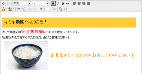 画像挿入イメージ