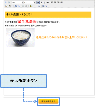 内容確認ボタンイメージ