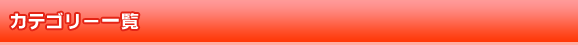 カテゴリー一覧
